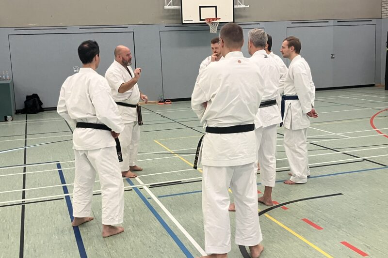 Neue Impulse durch Pratzentraining – Lehrgang mit Iain Abernethy